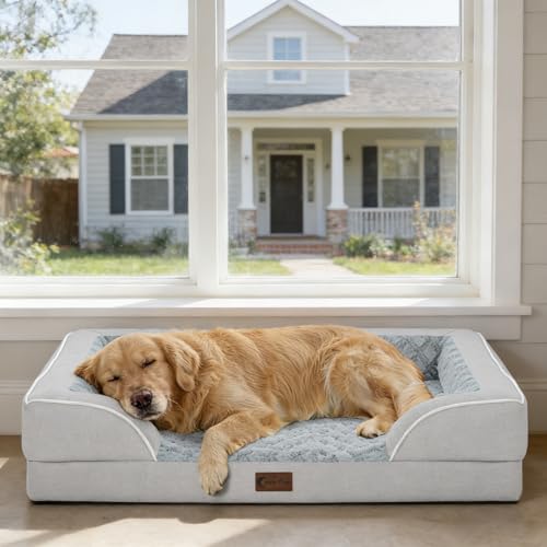 Casa Paw 48x30-inch bed for extra-large dogs.