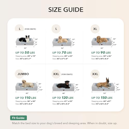 Casa Paw non-slip bottom keeps bed in place.