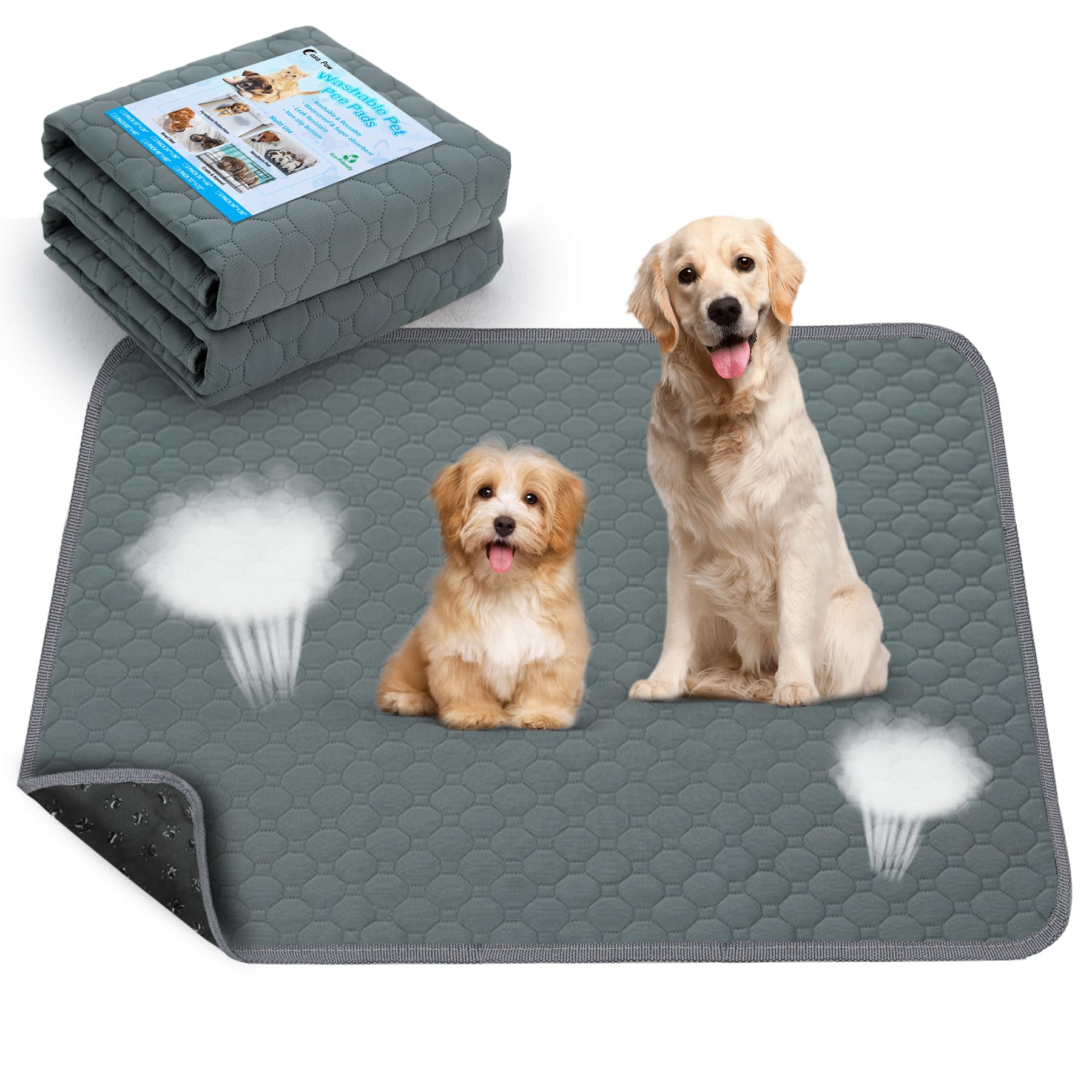 Casa Paw washable pee pad 2-pack front view for daily housebreaking.