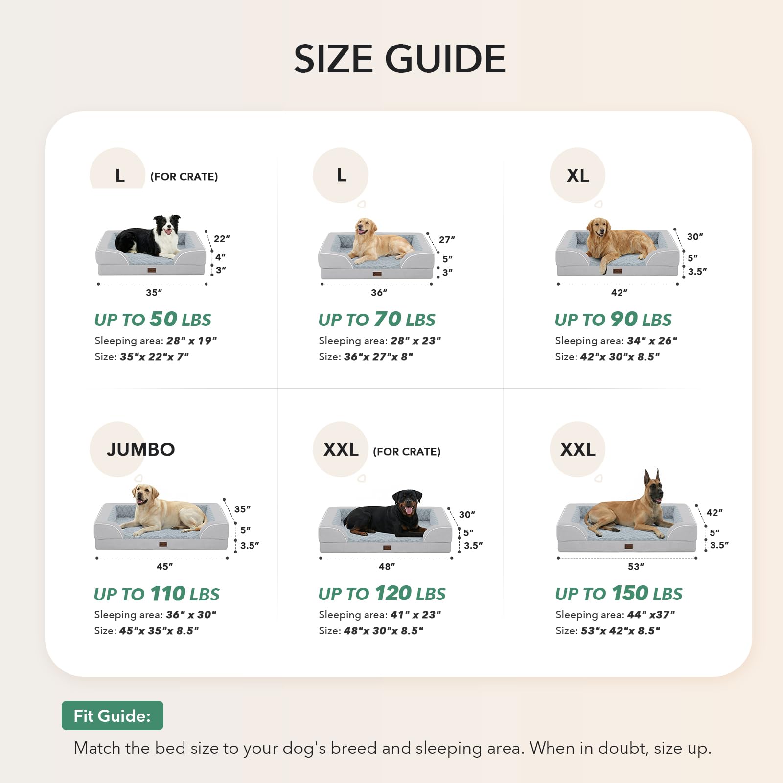 Casa Paw vacuum-packed packaging demonstrates expansion to full size after unboxing