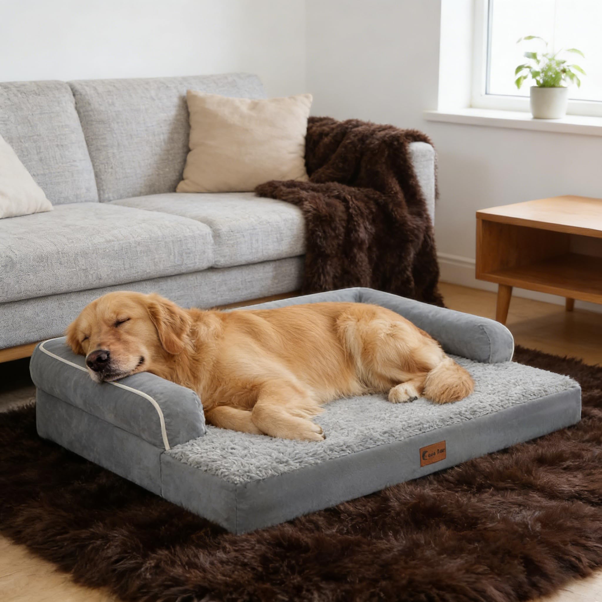 Casa Paw bed dimension guide illustrates fit for extra-large breeds