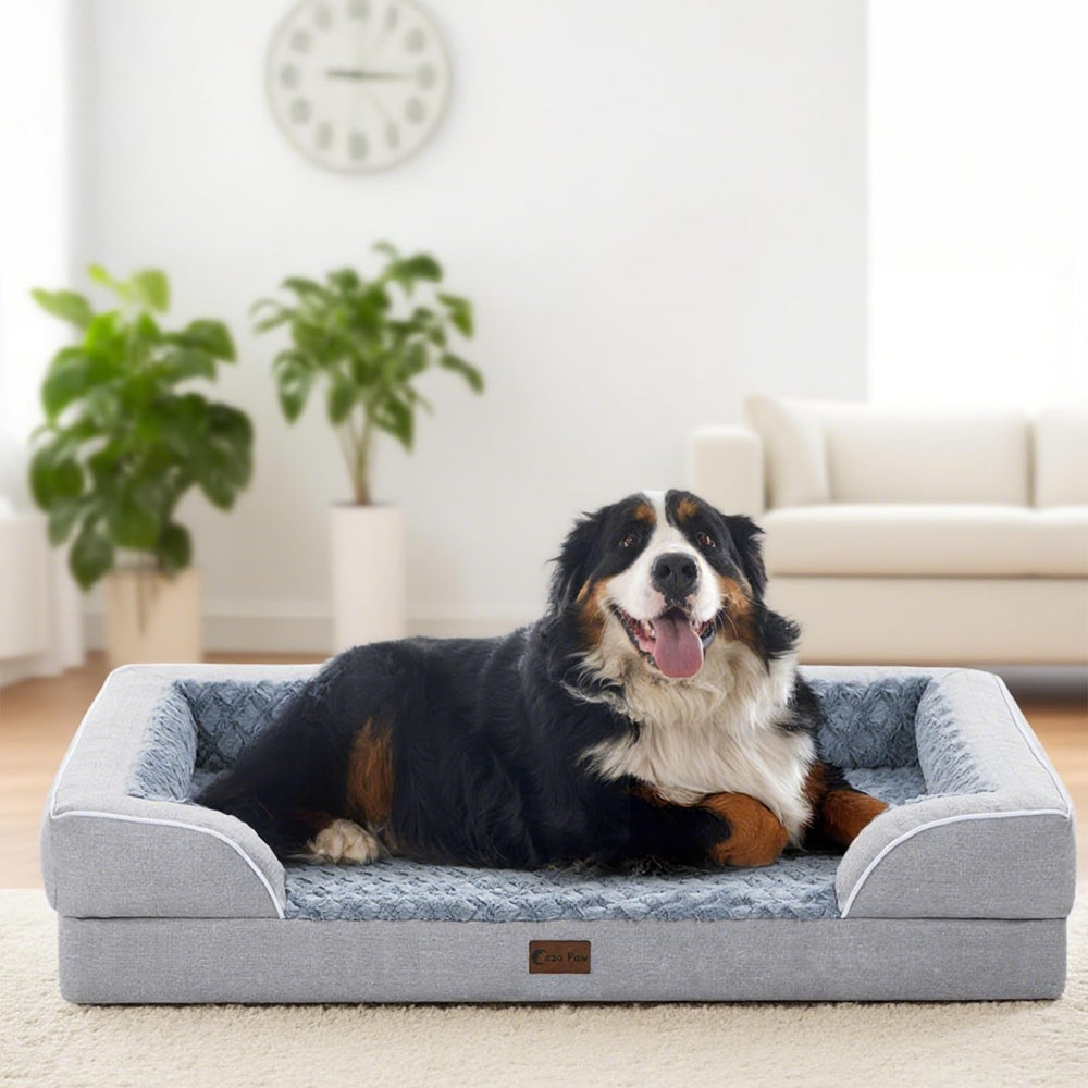 Casa Paw washable removable cover shown for easy machine washing