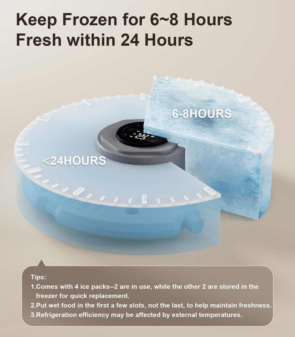 Casfuy 6-meal programming display demonstrates precise portioning and routine feeding.