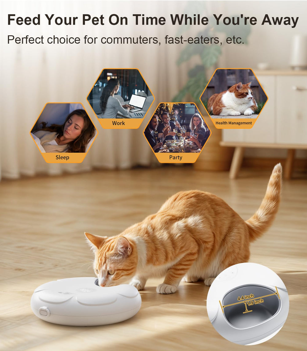 Casfuy cordless feeder on kitchen counter highlights cord-free placement for flexible feeding.