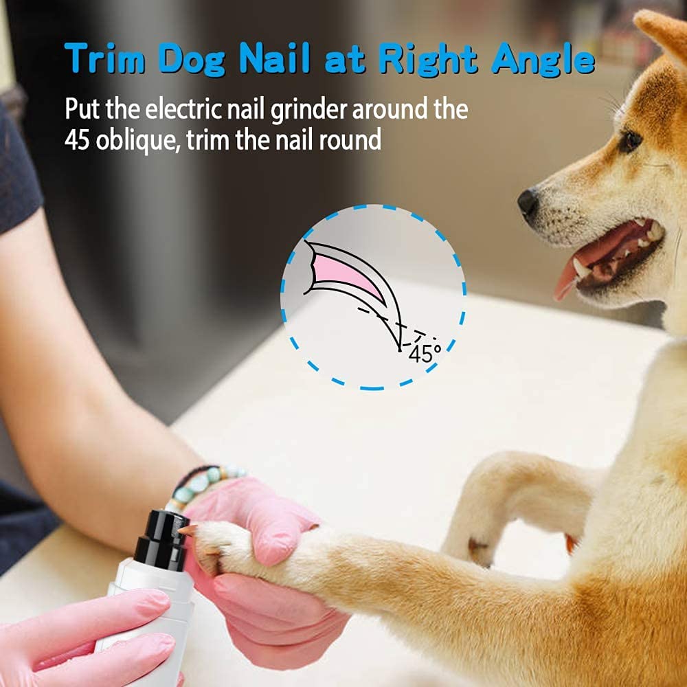 Casfuy dog paws being trimmed for painless smoothing in use.