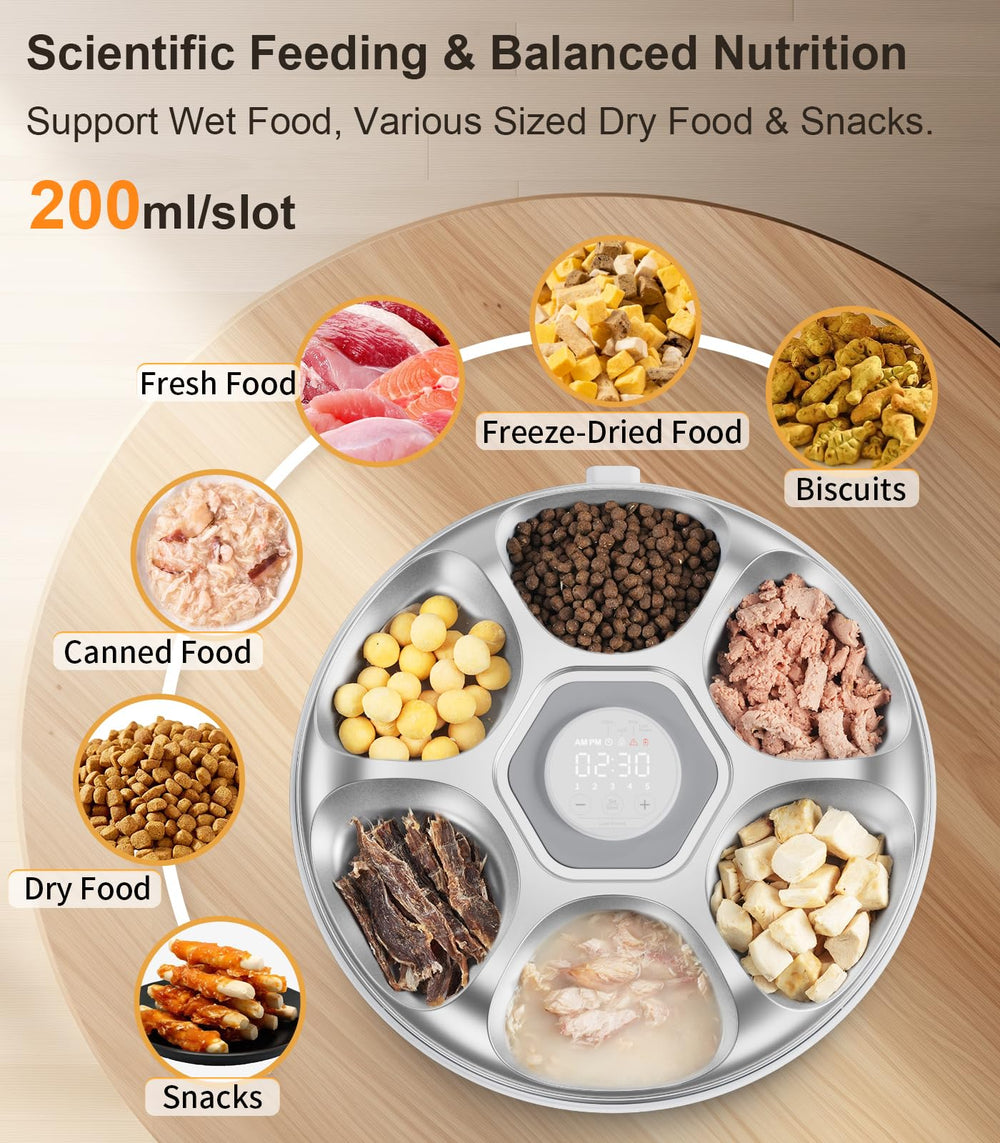 Casfuy automatic cat feeder with stainless-steel tray supports easy cleaning and wet food storage.