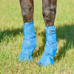 Cashel Crusader blue leg guard, back view, secure fit with adjustable closures