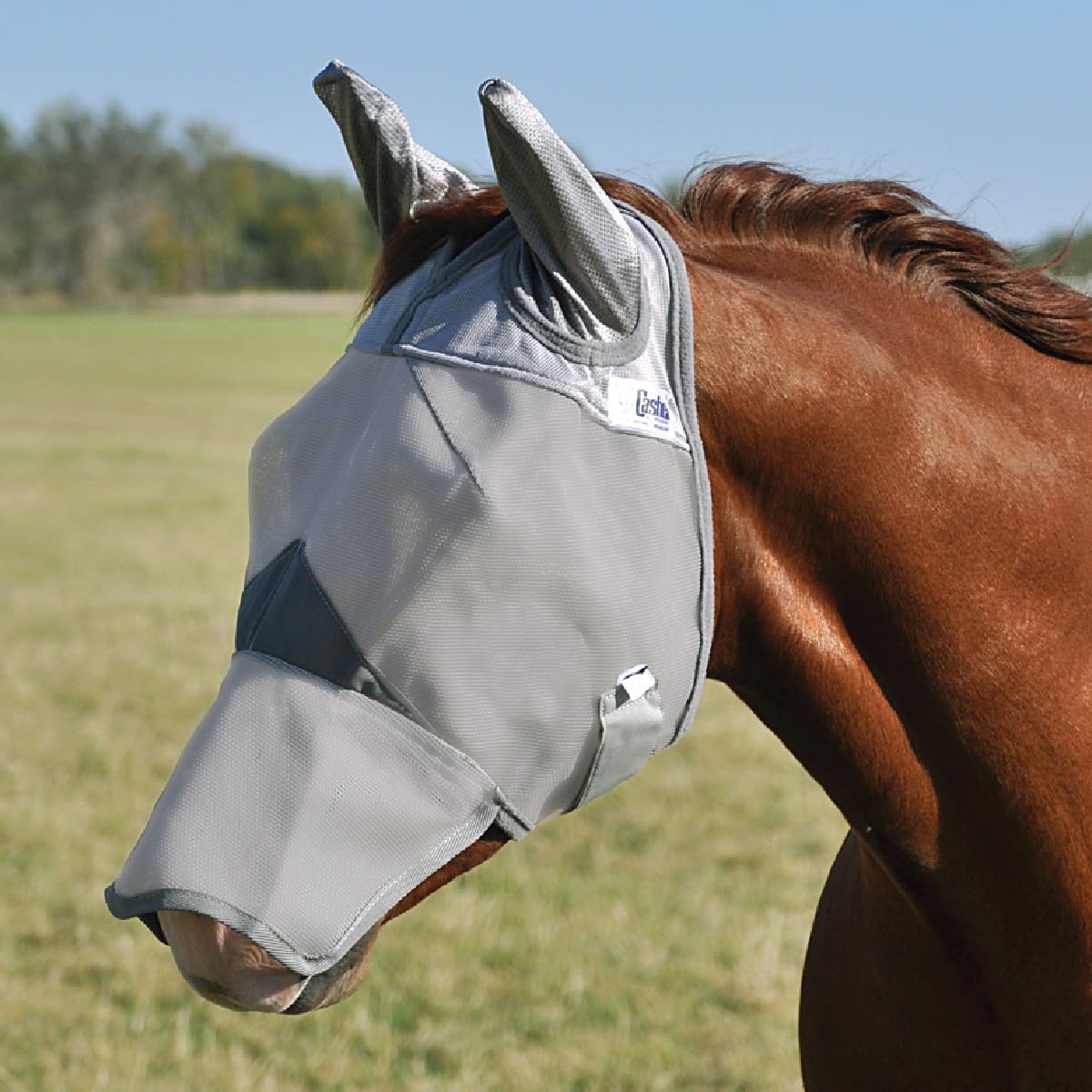 Cashel Crusader fly mask front view with breathable mesh for clear vision