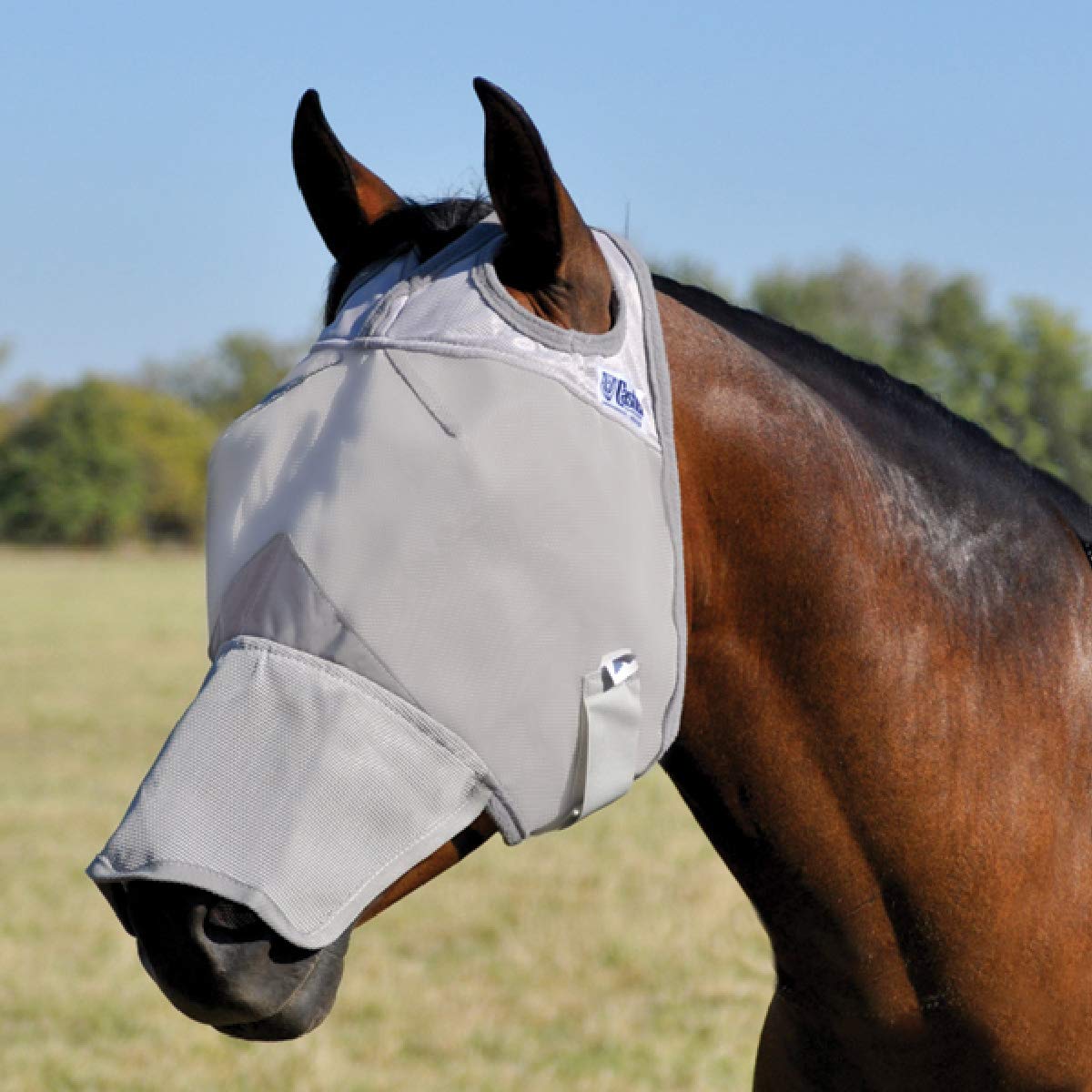 Cashel Crusader Fly Mask long-nose grey foal demonstrates a secure-fit near the strap.