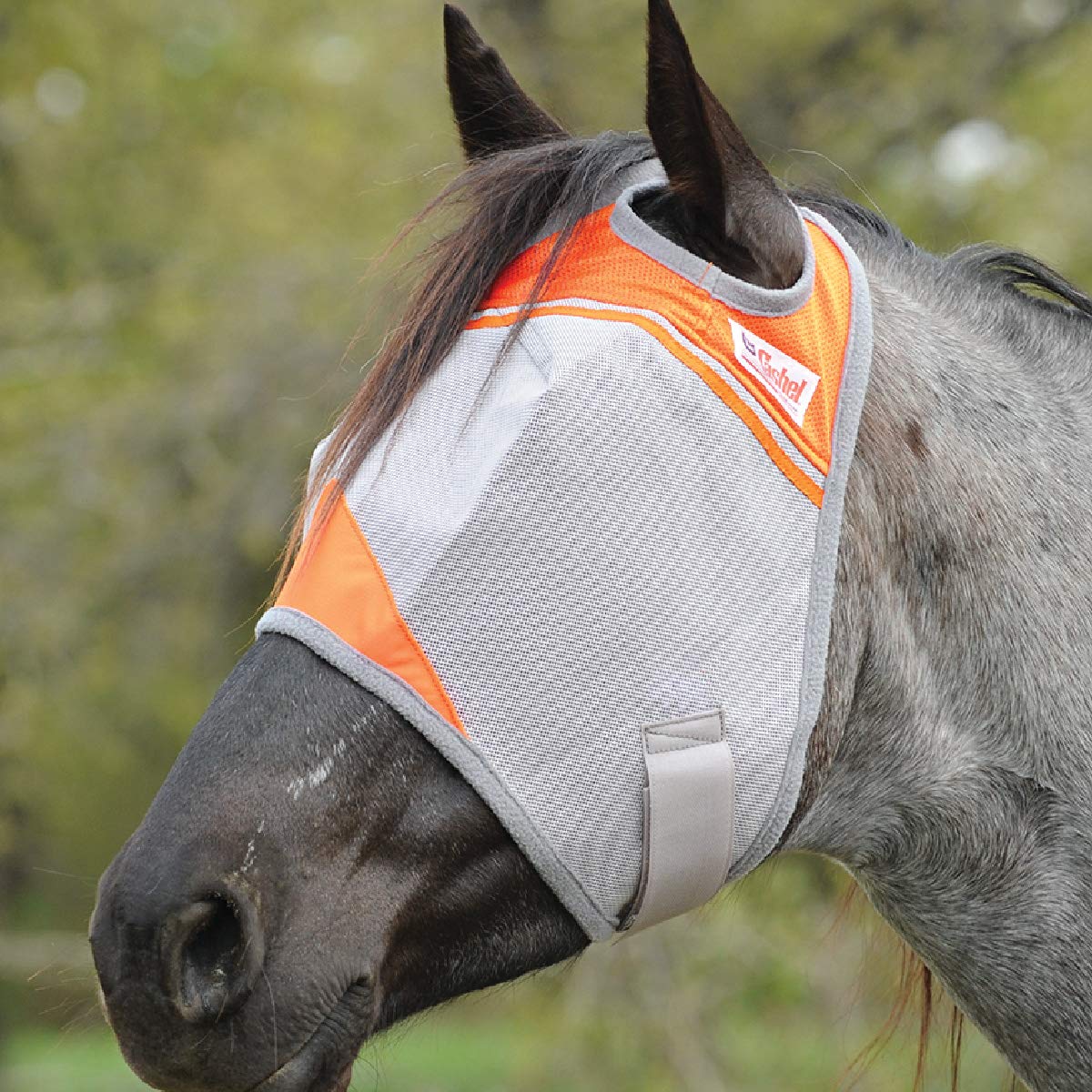 Cashel Crusader Fly Mask orange eye-area close-up highlighting unobstructed vision and UV shielding.