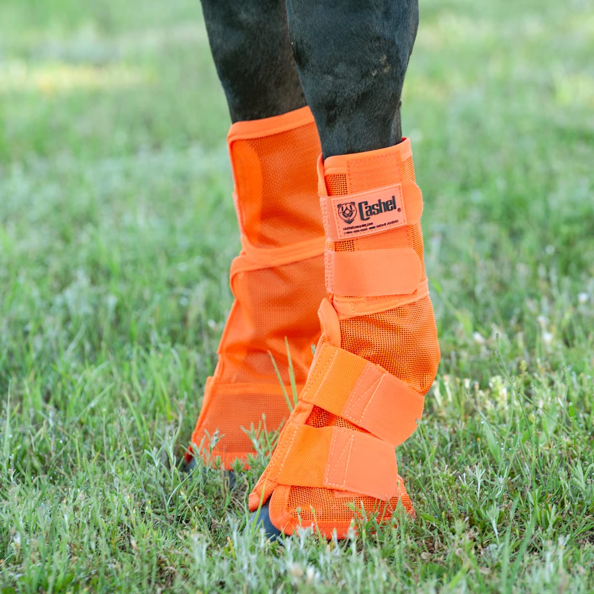 Cashel Crusader leg guard side view in orange highlights durable mesh for active turnout.