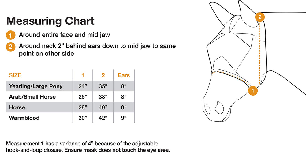 Cashel Econo Fly Mask adjustment strap demonstrates secure, comfortable fit.