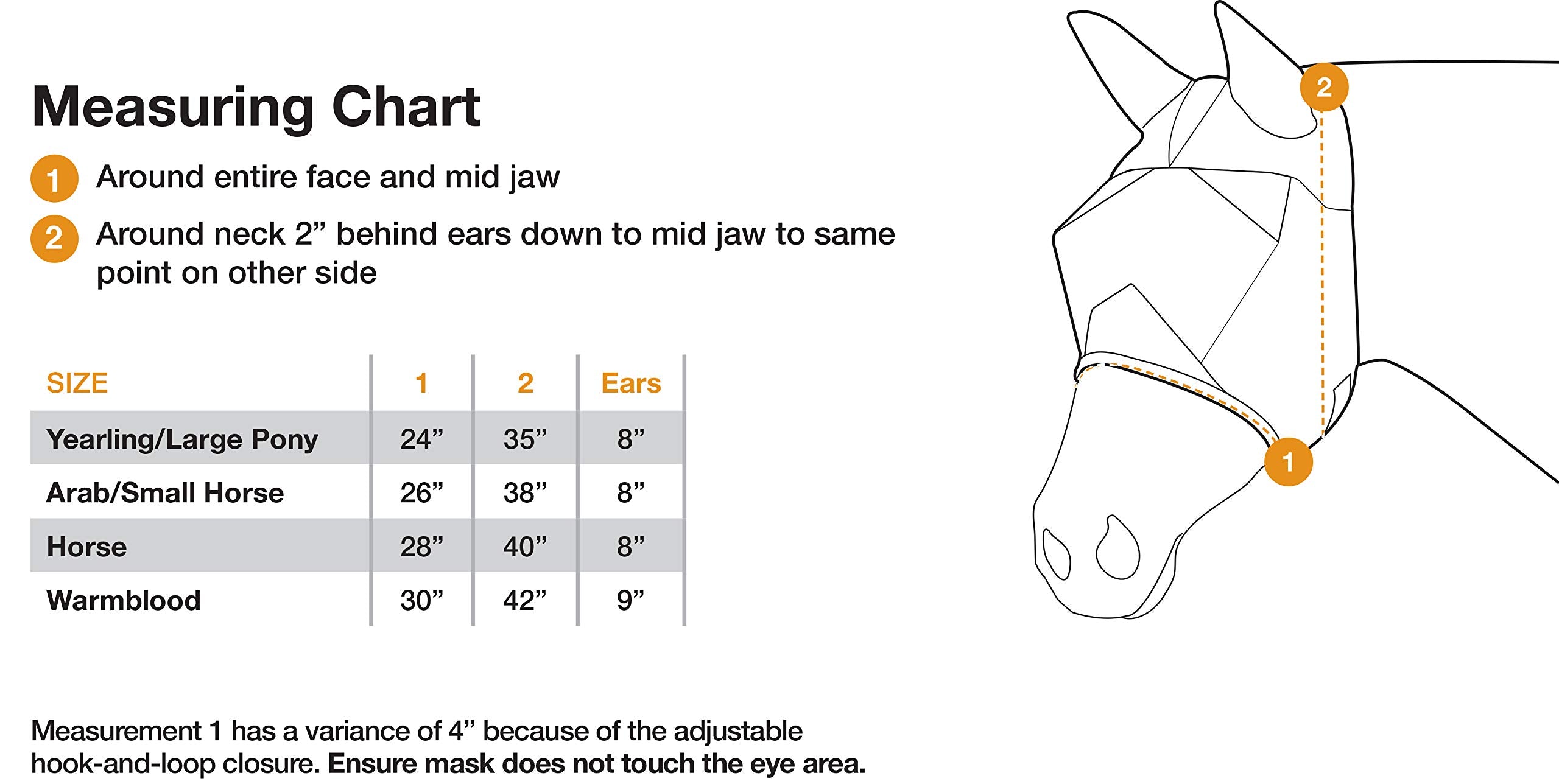 Cashel Economy Fly Mask on horse demonstrates secure fit with adjustable strap.