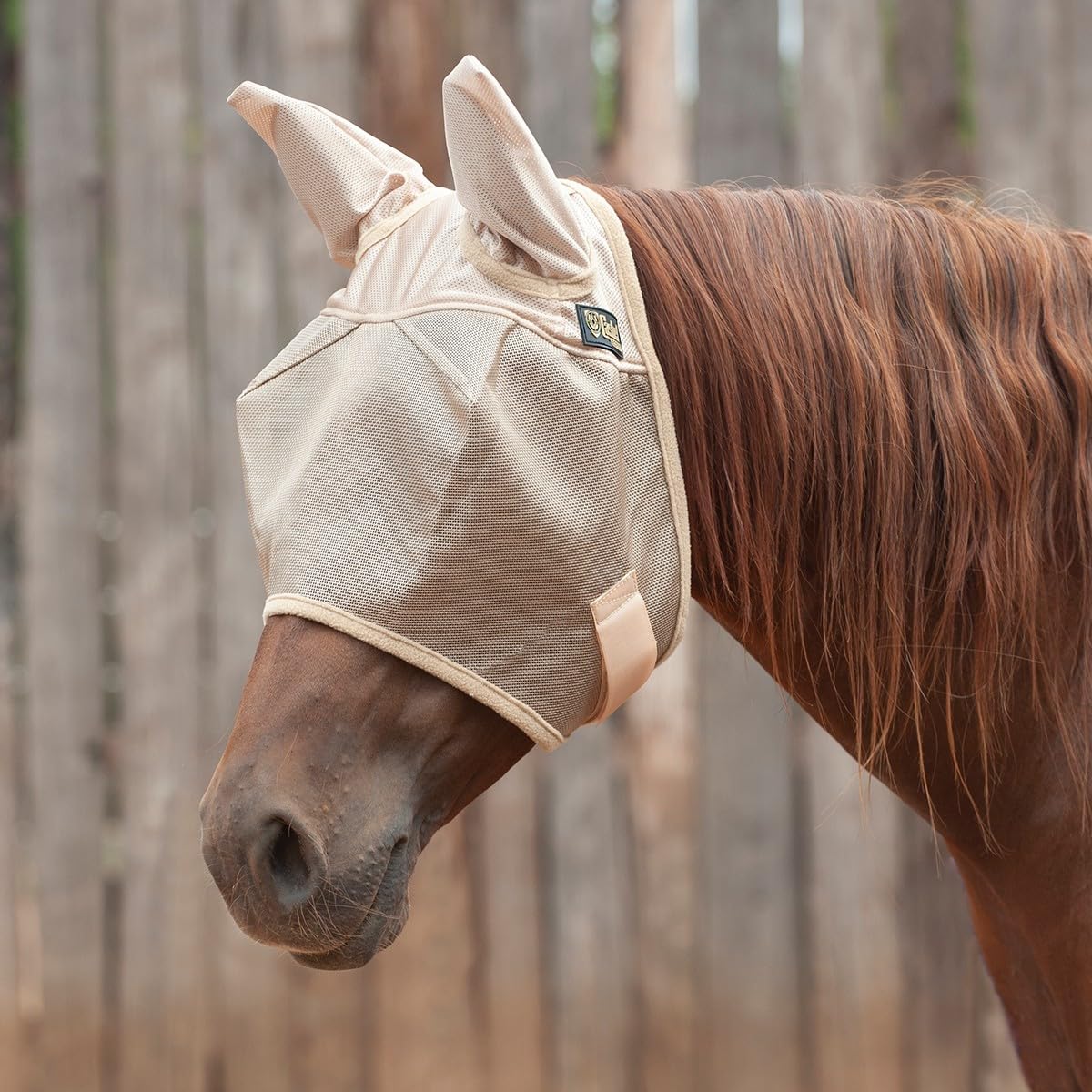 Cashel Economy Fly Mask close-up shows soft edge binding for comfort.