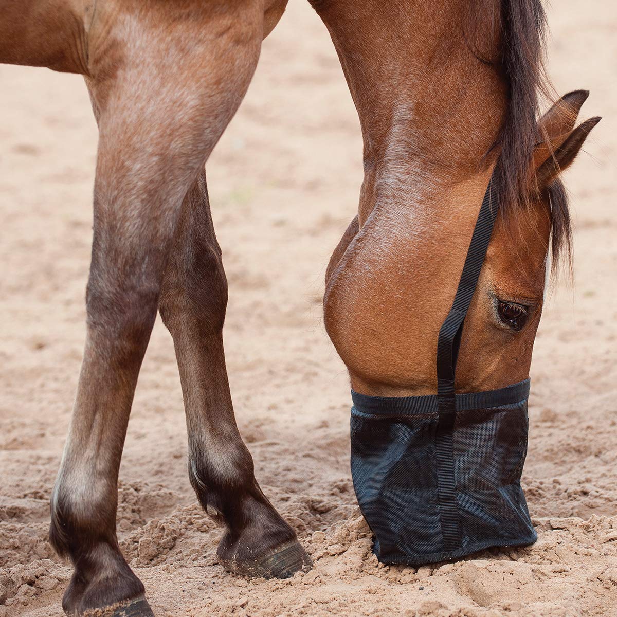 Cashel Horse Feed Rite Bag FRB mesh bottom promotes quick, residue-free feeding and cleaning.