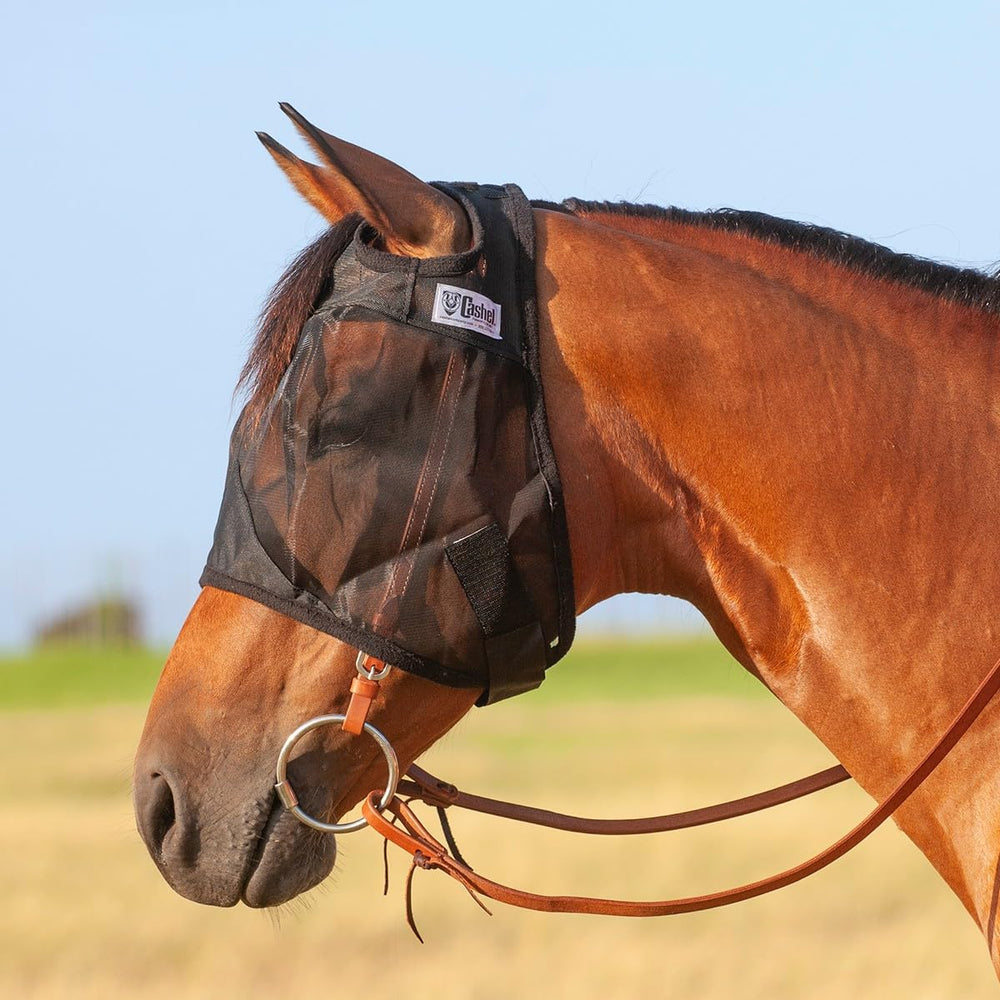 Cashel Quiet Ride fly mask front view showing lightweight eye protection