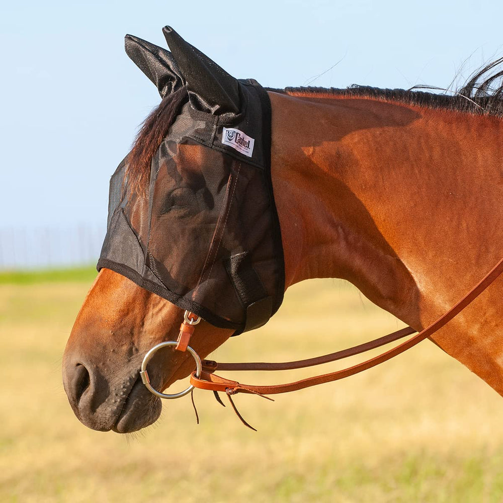 Cashel Quiet Ride fly mask front view in black with ears for horses.