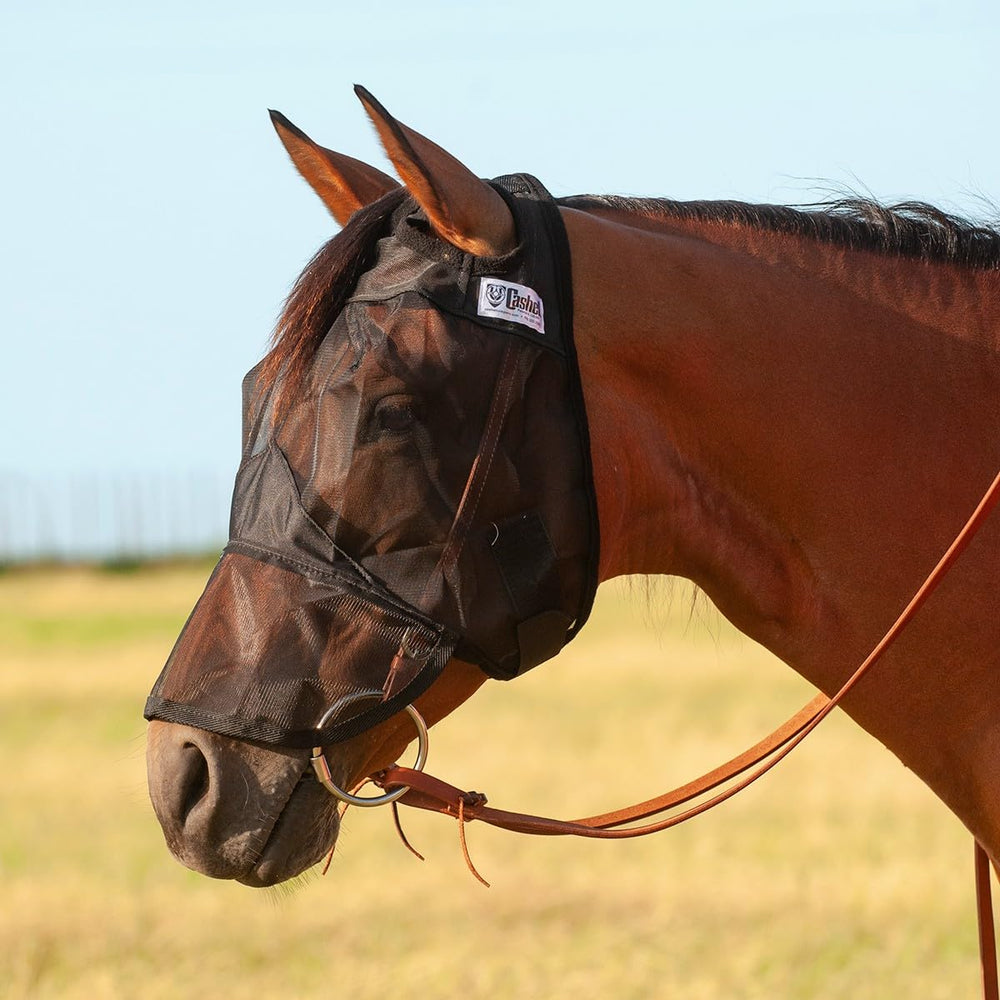 Cashel Quiet Ride mask front view with long nose provides clear vision during rides.