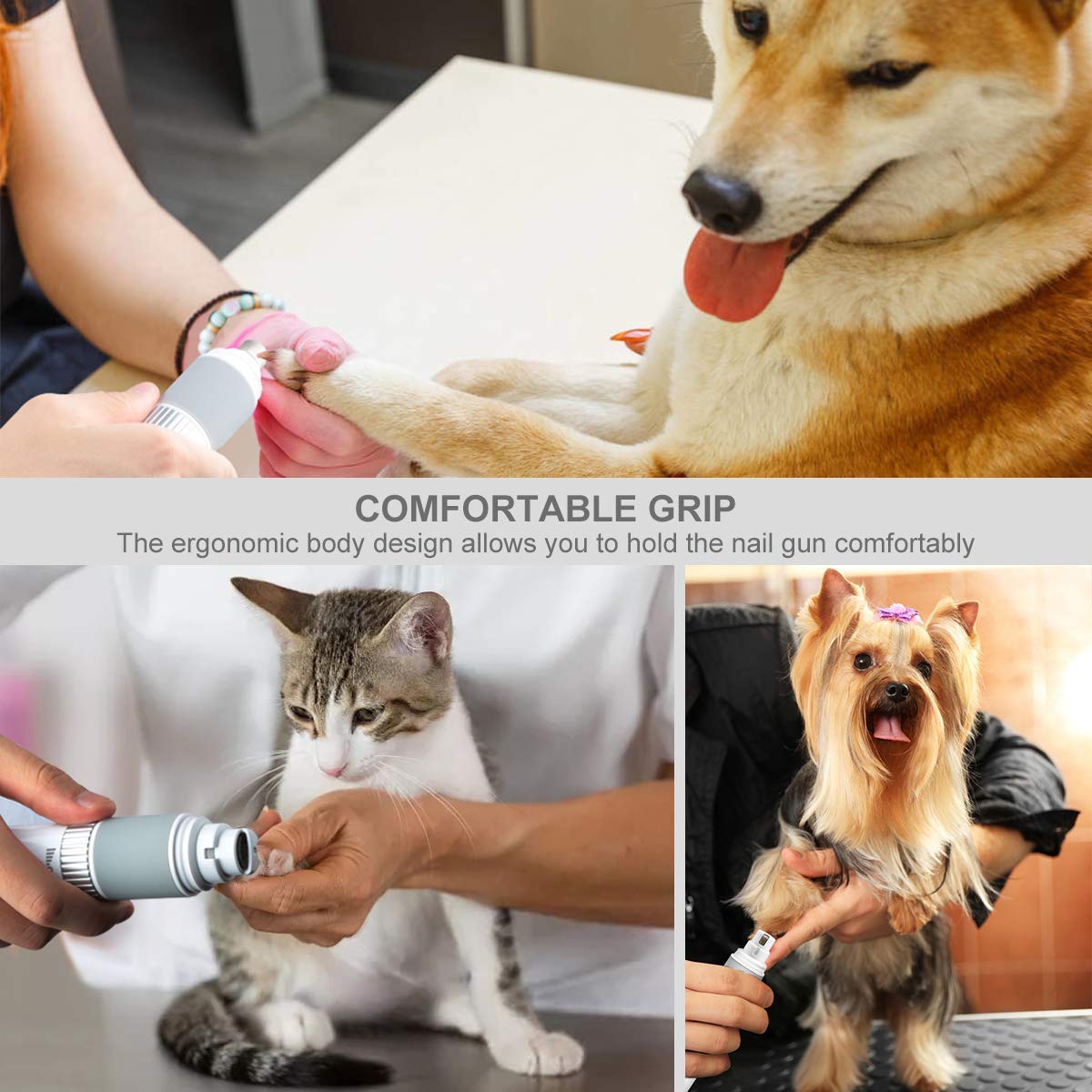Casifor multi-pet use for dogs and cats with versatile settings.