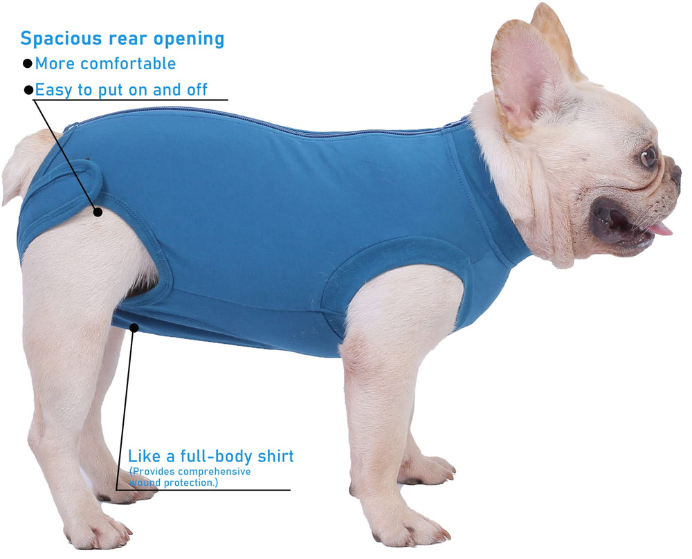 Caslfuca recovery suit protects wounds from licking and scratching while allowing comfortable movement