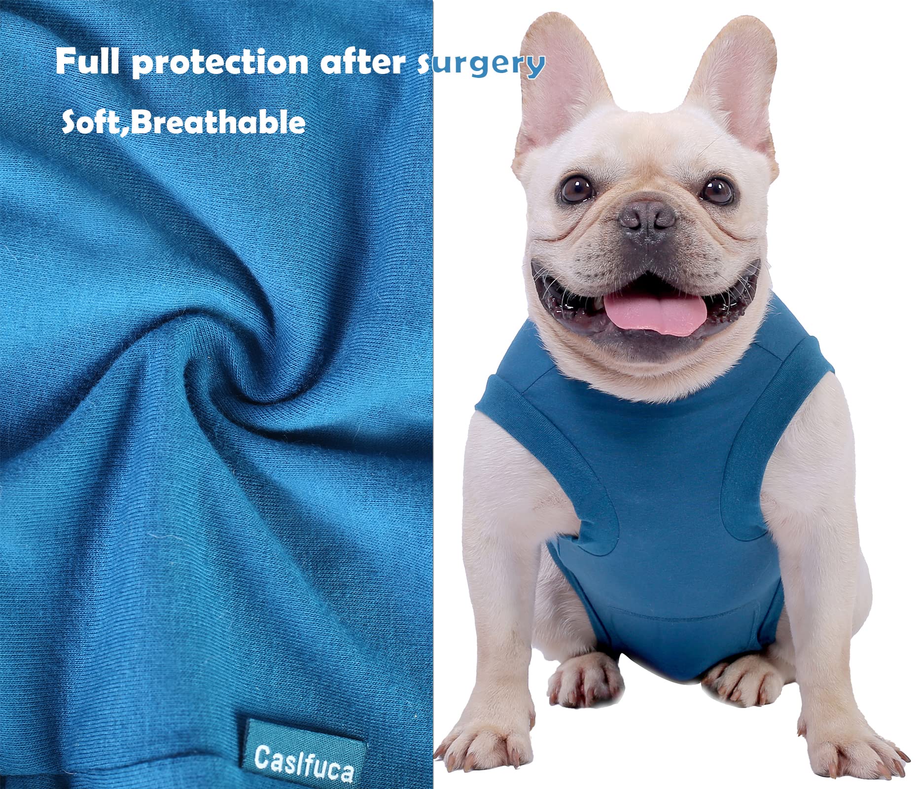 Caslfuca dog surgery recovery suit features urination access for easier post-op care