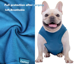 Caslfuca dog surgery recovery suit features urination access for easier post-op care