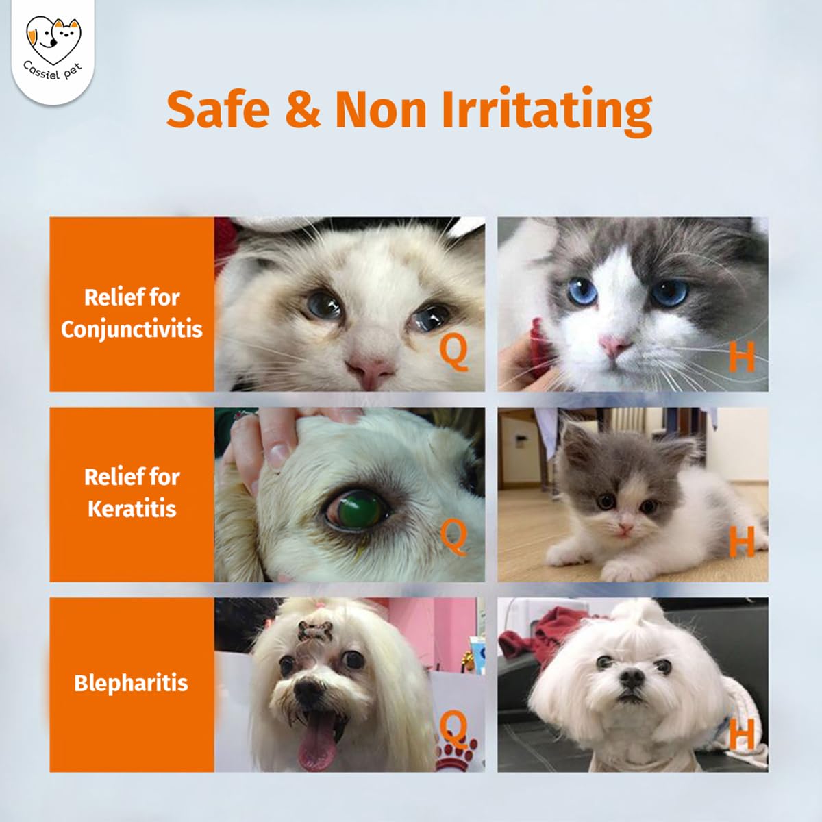 Limpieza ocular segura con Cassiel pet para cuidado diario