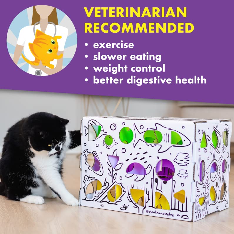 Cat Amazing MEGA assembly image shows sturdy, eco-friendly design.