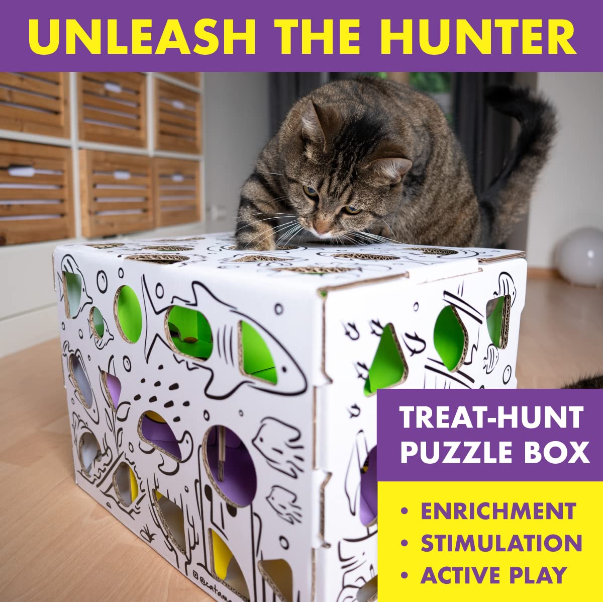Cat Amazing MEGA close-up of puzzle holes showcasing challenging feeding activity.