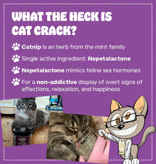 Cat Crack espolvoreando sobre juguete, ideal para entrenamiento y juego.