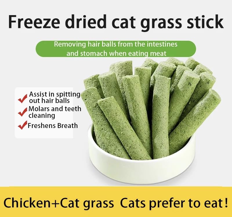 Cat Grass Teething Sticks cat chewing during playtime for enrichment