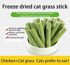 Cat Grass Teething Sticks cat chewing during playtime for enrichment