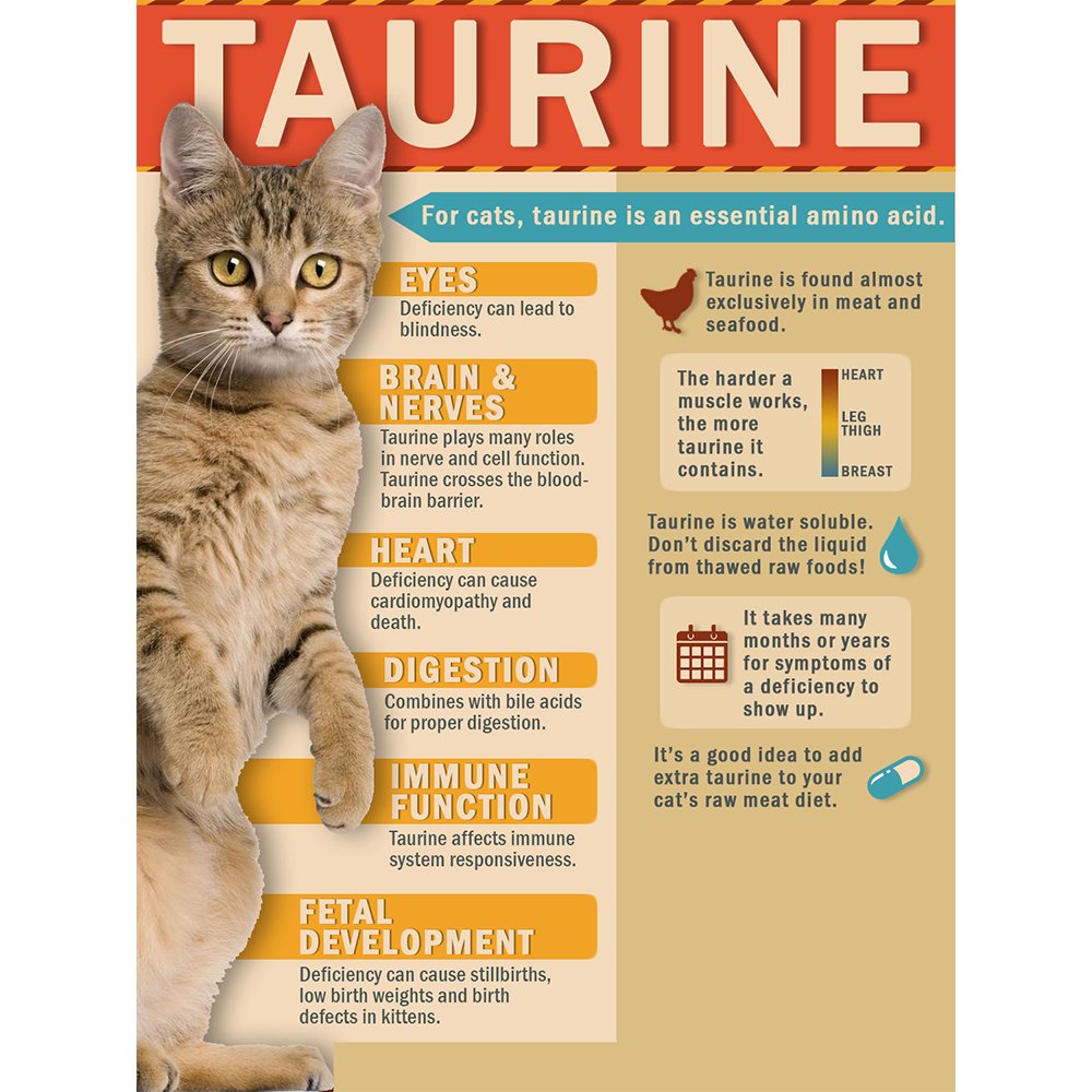 Cat-Man-Doo bonito flakes pets enjoying treat may boost appetite during daily routine.