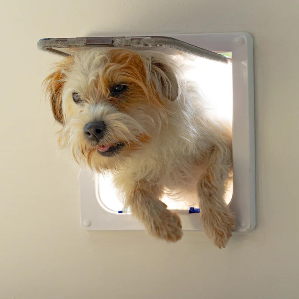 Cat Mate installation guide image illustrating setup steps