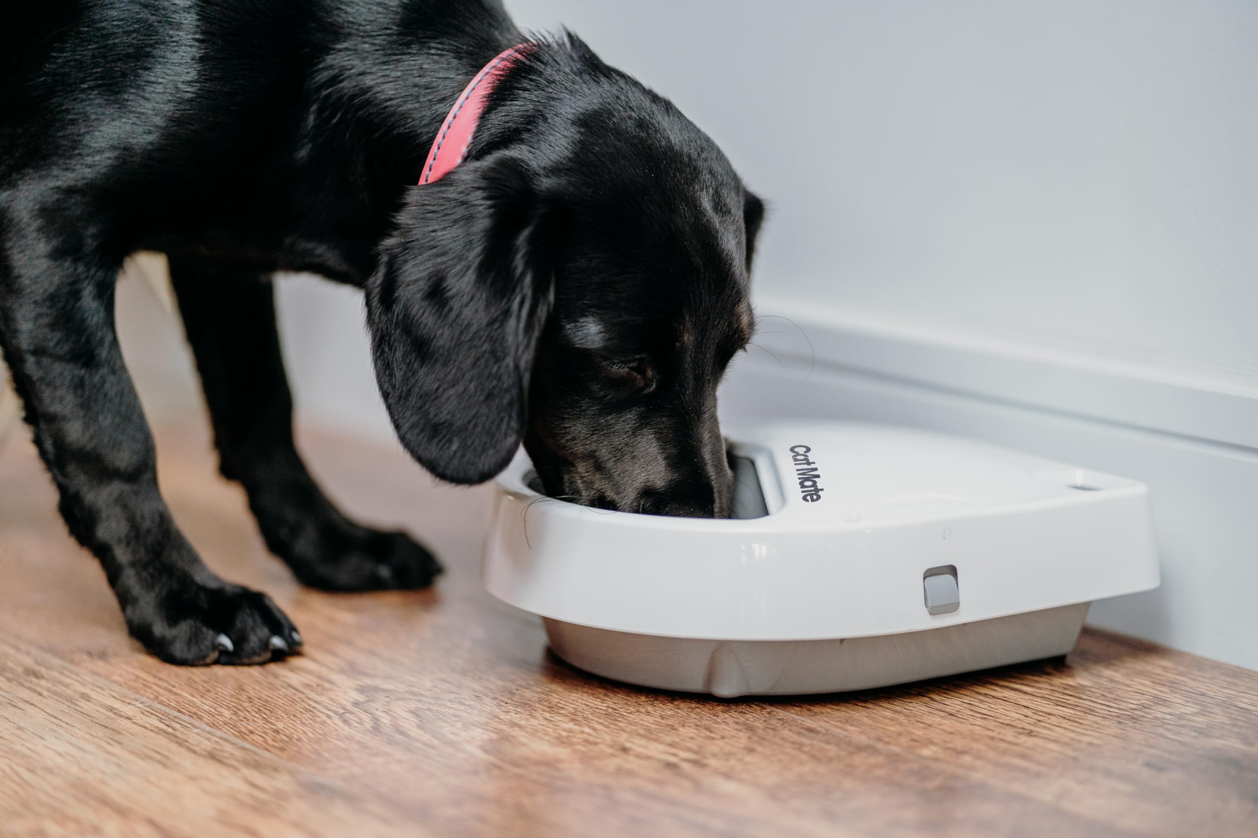 Cat Mate C300 dishwasher-safe bowls and lid for easy cleaning.