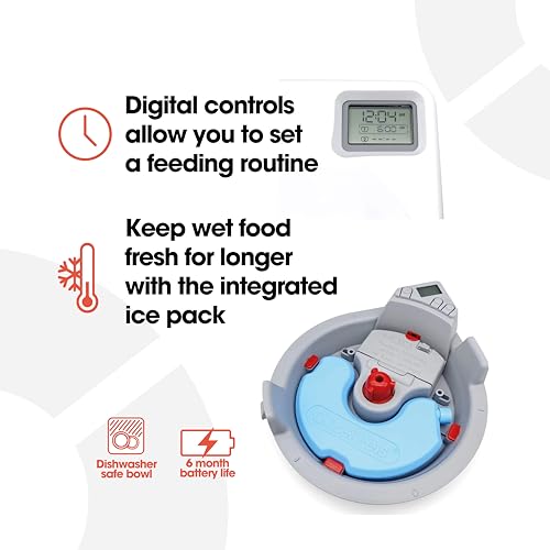 Cat Mate C300 with reusable ice pack keeping meals cool for freshness.