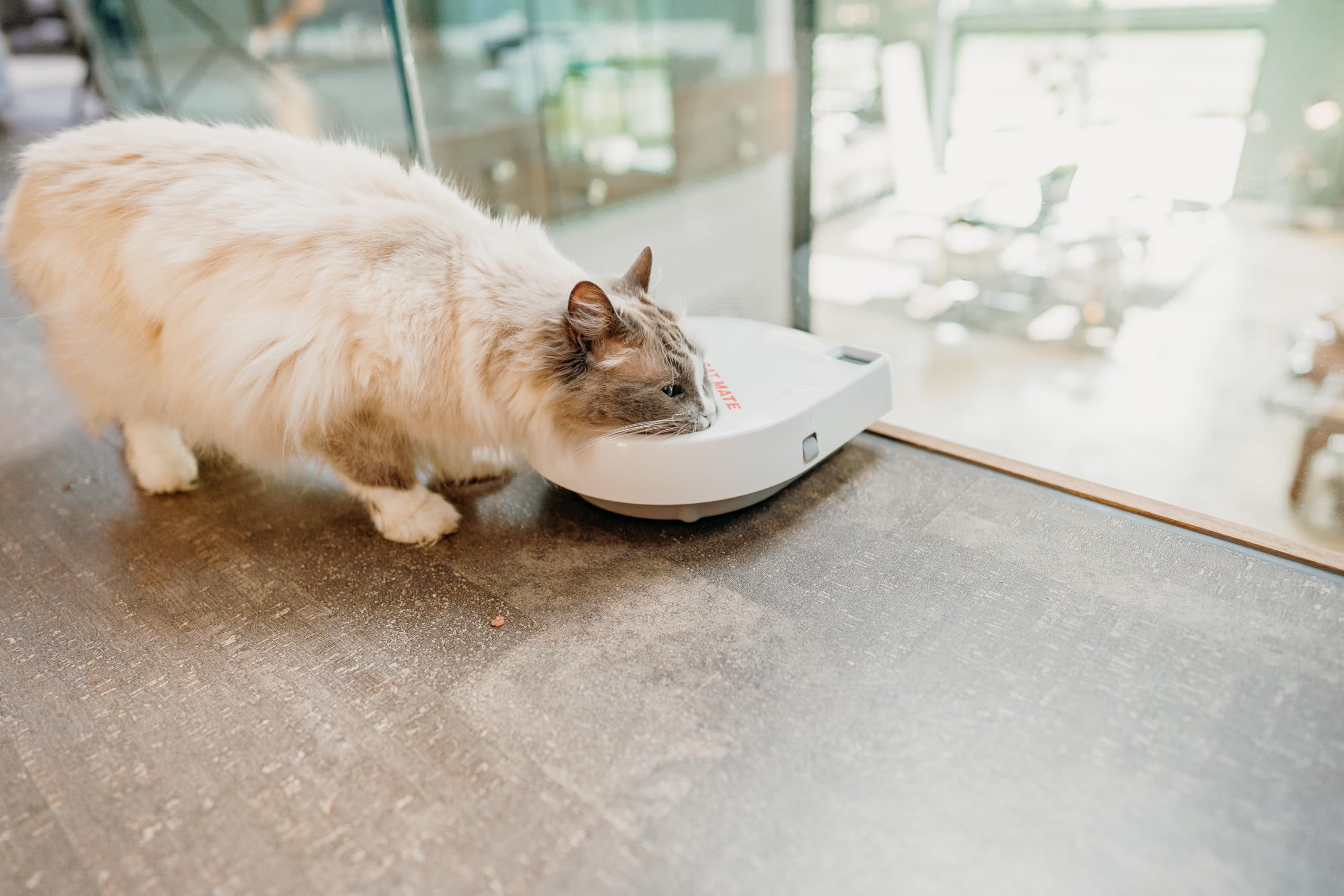 Cat Mate C300 tamper-resistant design deters food interference.