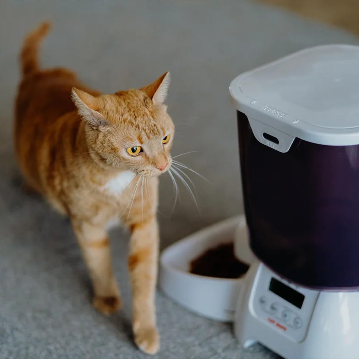 Cat Mate C3000 battery-powered operation offers flexible placement at home.