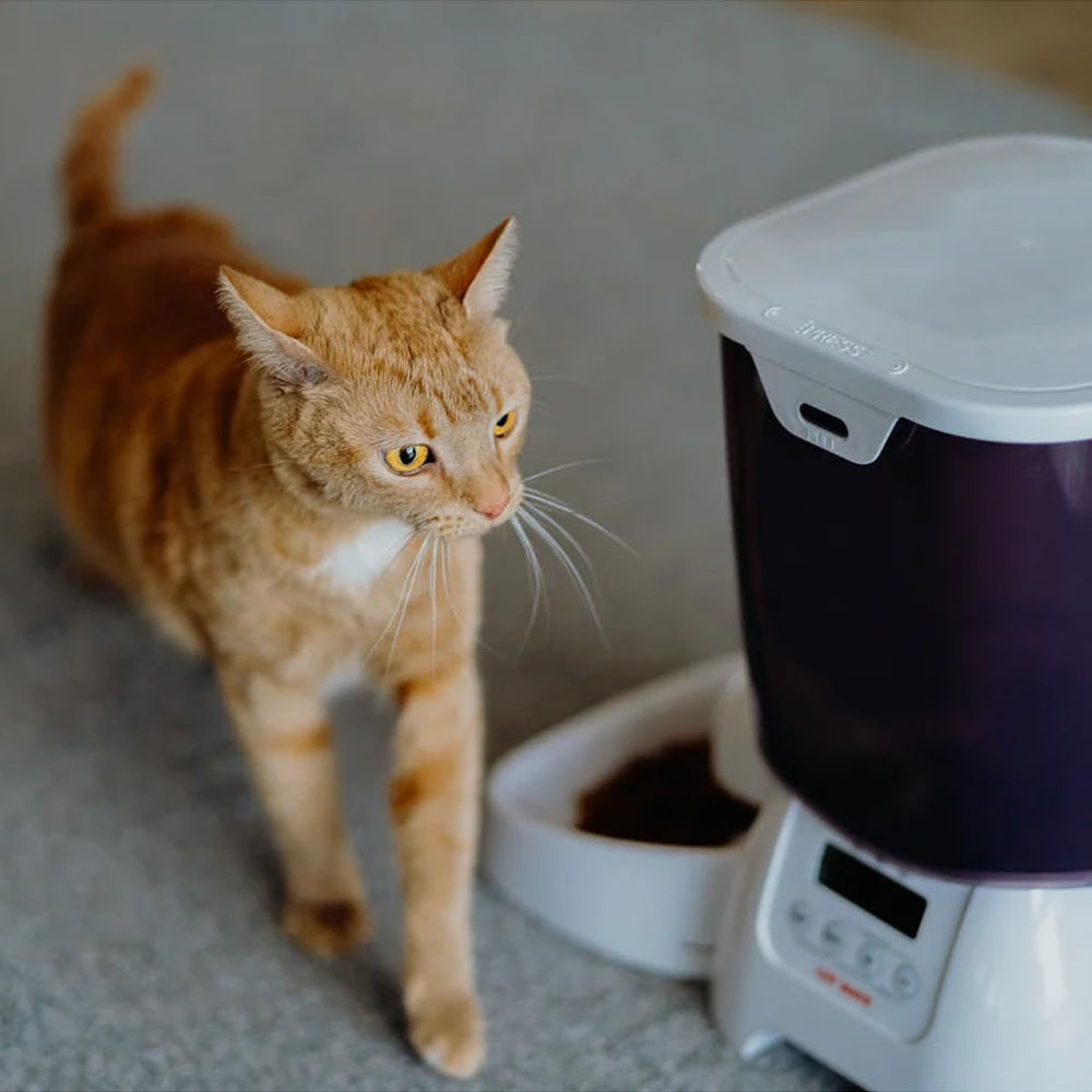 Cat Mate C3000 battery-powered operation offers flexible placement at home.