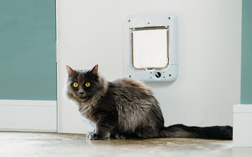Cat Mate microchip flap side view in use highlights simple door integration
