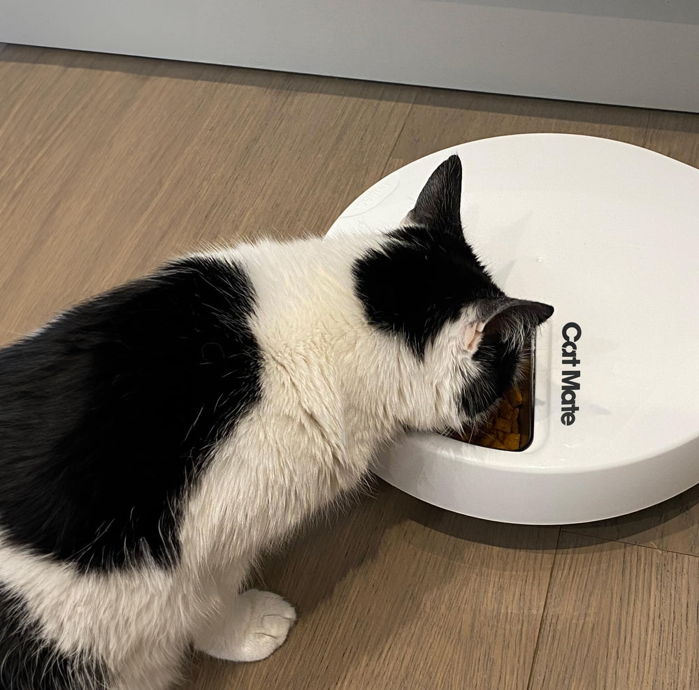 Cat Mate stainless steel bowl insert rounded edges promote safe dining.