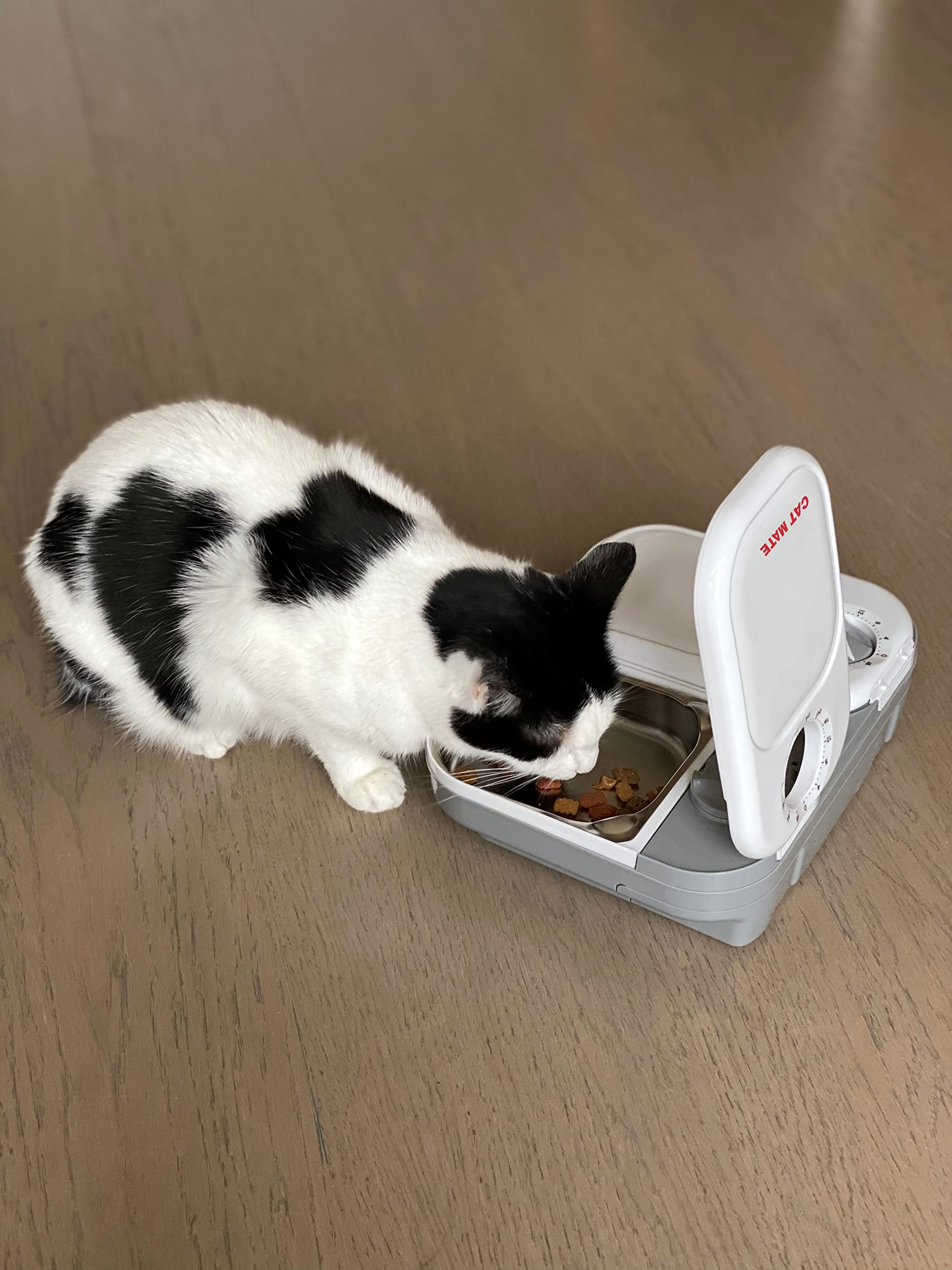 Cat Mate inserts suitable for dry food.