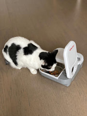 Cat Mate inserts suitable for dry food.