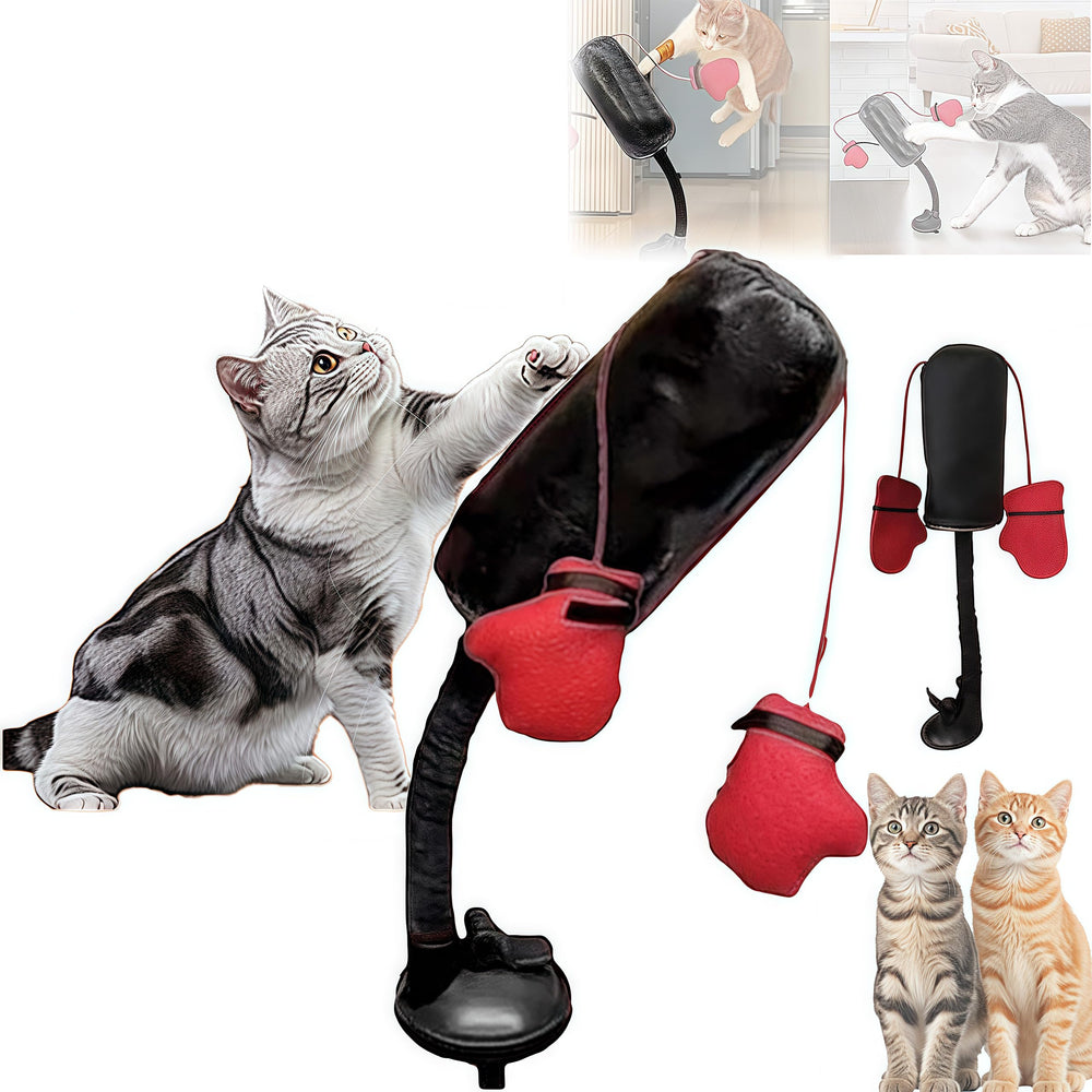 Cat Punching Bag Toy with spring action showcases dynamic movement for indoor exercise and interactive play.