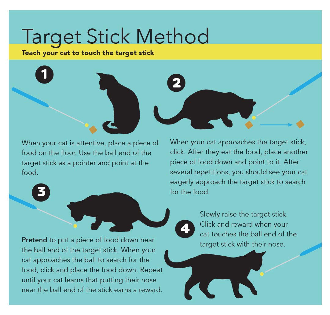 CAT SCHOOL Clicker Training Kit all-in-one package for simple, portable training sessions