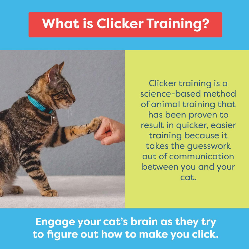 CAT SCHOOL Clicker Training Kit quiet clicker reduces noise during training sessions