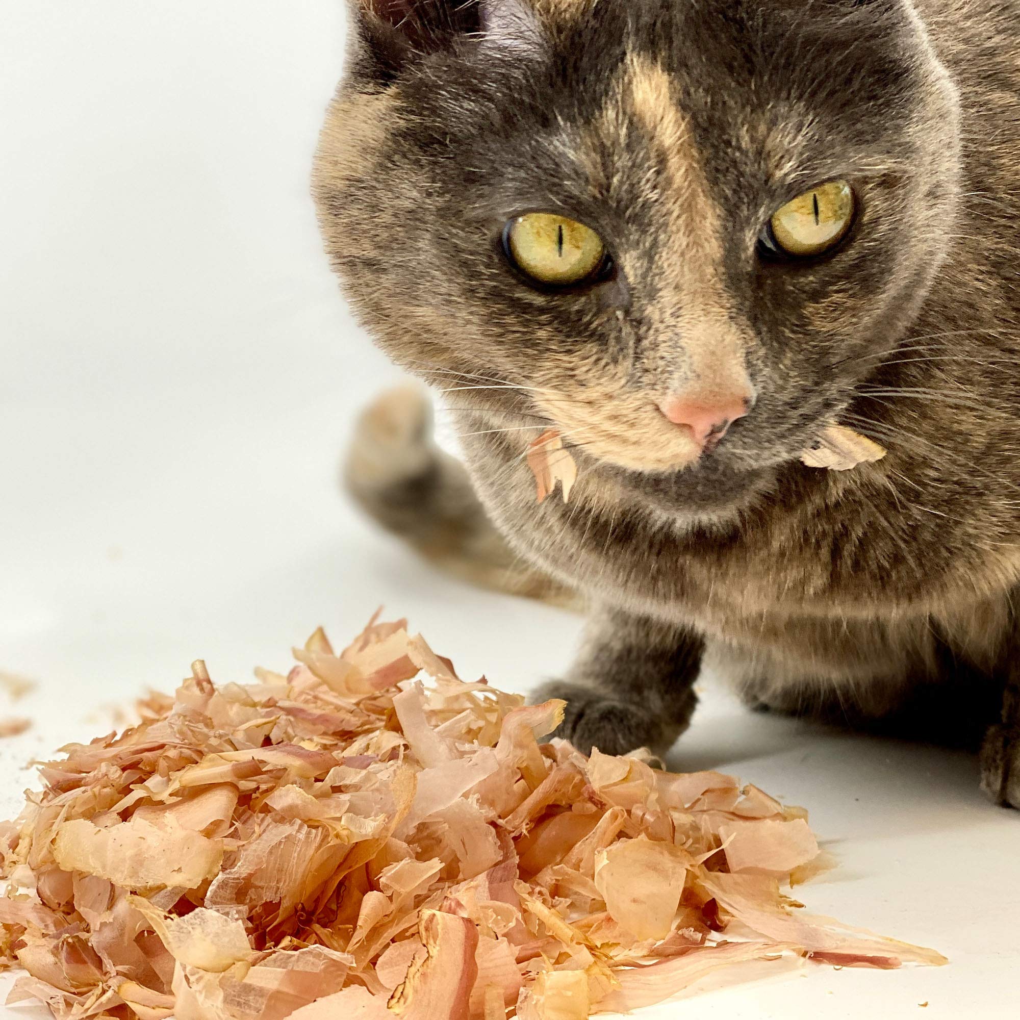 Cat Sushi Bonito Flakes serving bowl shows crumb-like texture ideal as a meal topper.