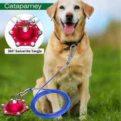 Catapamey 304 stainless anchors and stake deliver rust-resistant outdoor durability