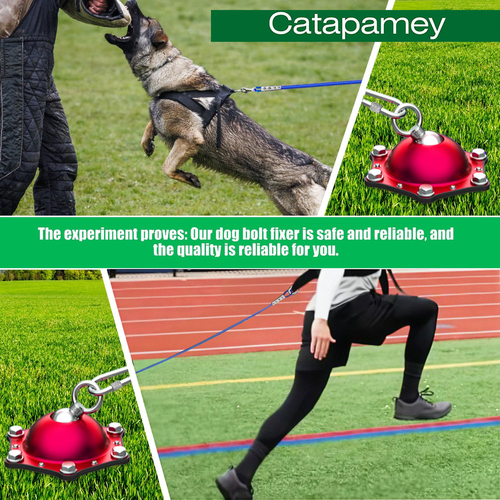 Catapamey outdoor tie-out ideal for camping and parks