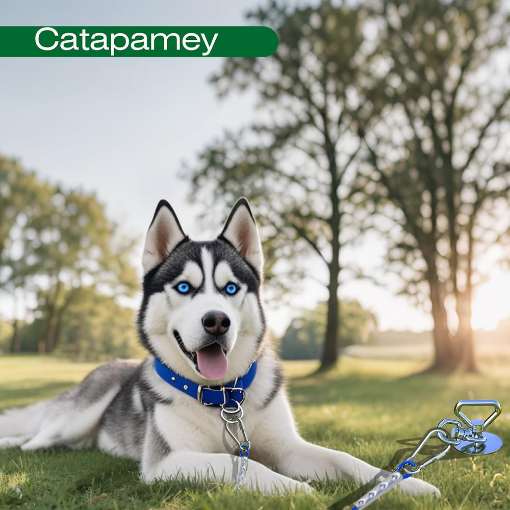 Catapamey large-dog compatible system for pets up to 150 lbs